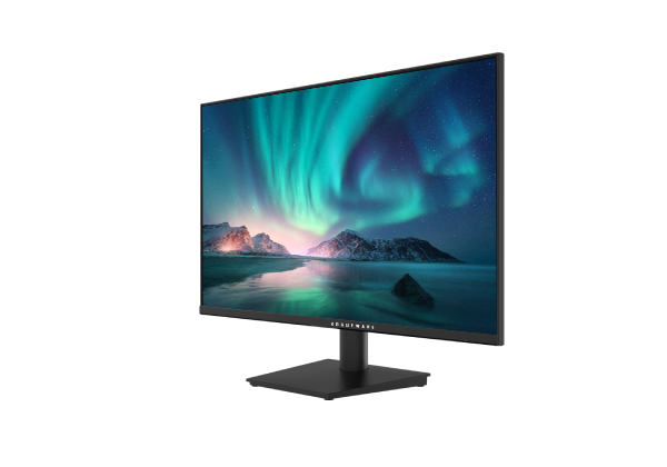 Rogueware W2413SG 24" Full HD (1920x1080) 100Hz 4ms IPS FreeSync Gaming Desktop Monitor