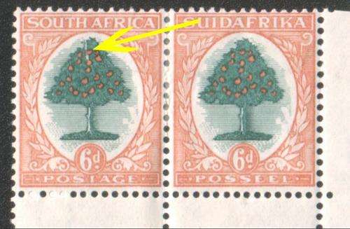 1930 SOUTH AFRICA 6d Split Tree variety Mint