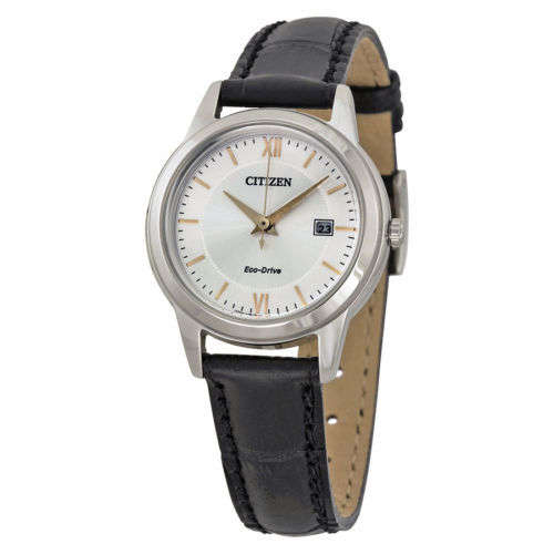 Citizen Eco Drive Women's Leather Watch FE1086-04A