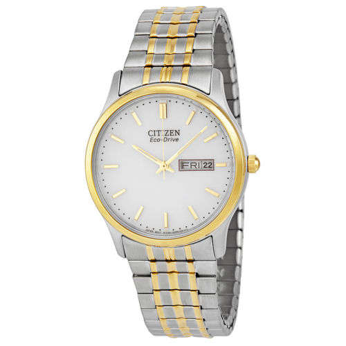 Citizen Eco-drive 180 Flexible Band Two-tone Men's Watch BM8454-93A
