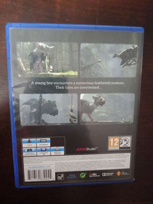 The Last Guardian