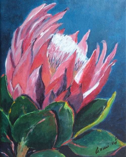 Wonderful Protea