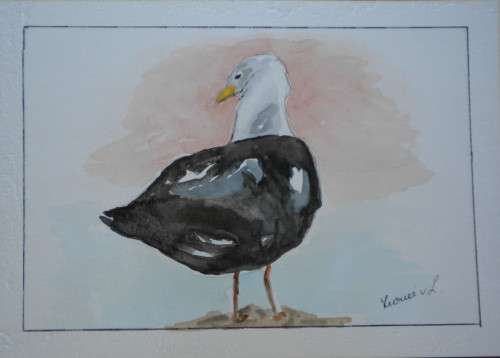 Linky, Pinky and Punky three Seabirds