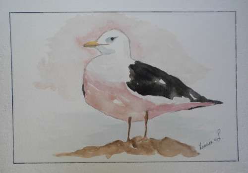 Linky, Pinky and Punky three Seabirds