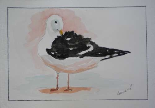 Linky, Pinky and Punky three Seabirds