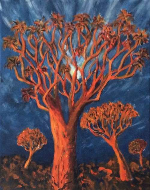 KOKERBOOM,  QUIVER TREE, South Africa, trees, still life, landscape