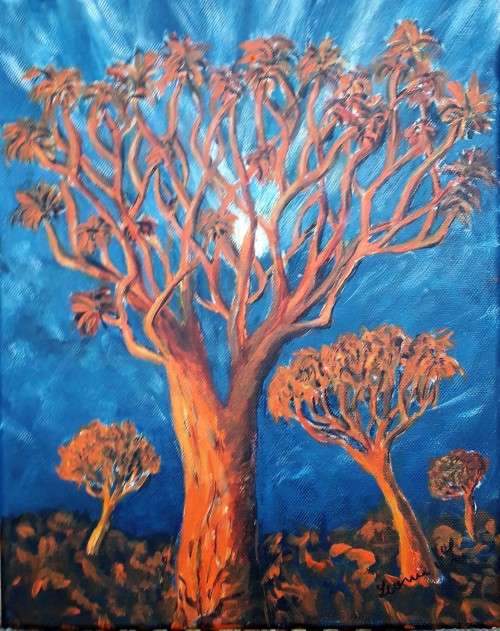 KOKERBOOM,  QUIVER TREE, South Africa, trees, still life, landscape