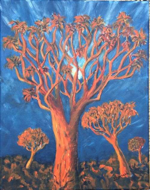 KOKERBOOM,  QUIVER TREE, South Africa, trees, still life, landscape