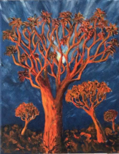 KOKERBOOM,  QUIVER TREE, South Africa, trees, still life, landscape