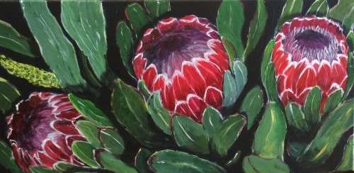 Three Proteas