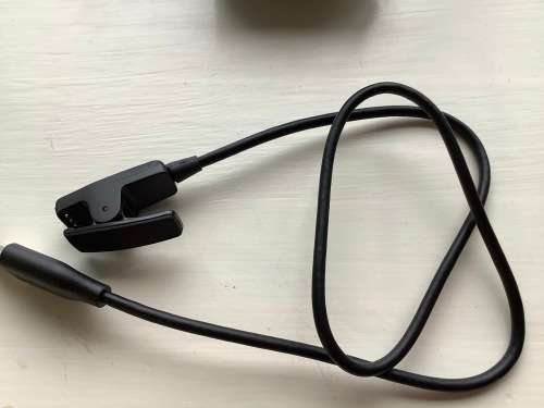 Garmin Forerunner 30