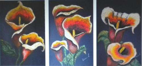 Arums set of three, still life, flowers, South Africa, spring, Leonie van Loggerenberg