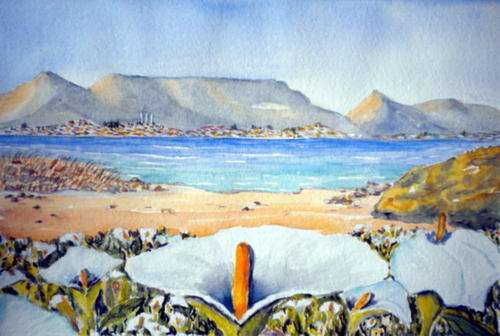 Table Mountain &Callas
