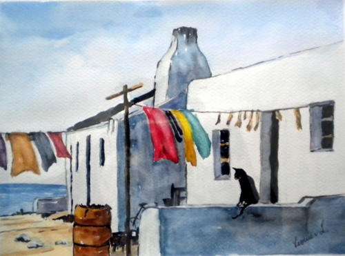 Cottages & cat