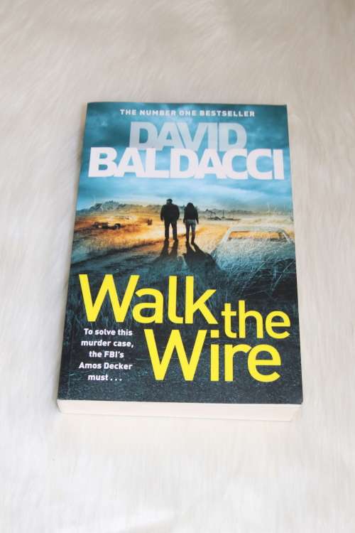 walk the wire (david baldacci) novel