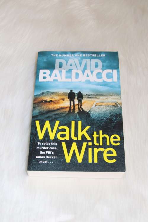 walk the wire (david baldacci) novel