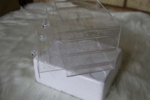 Earring Display Stand Organizer Box