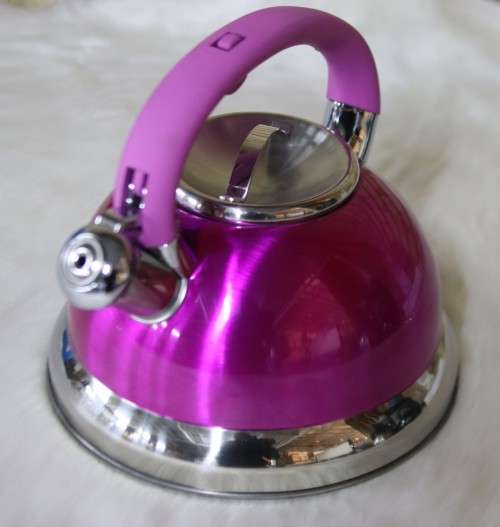 Condere Metalic Whistling Kettle 3L - PINK