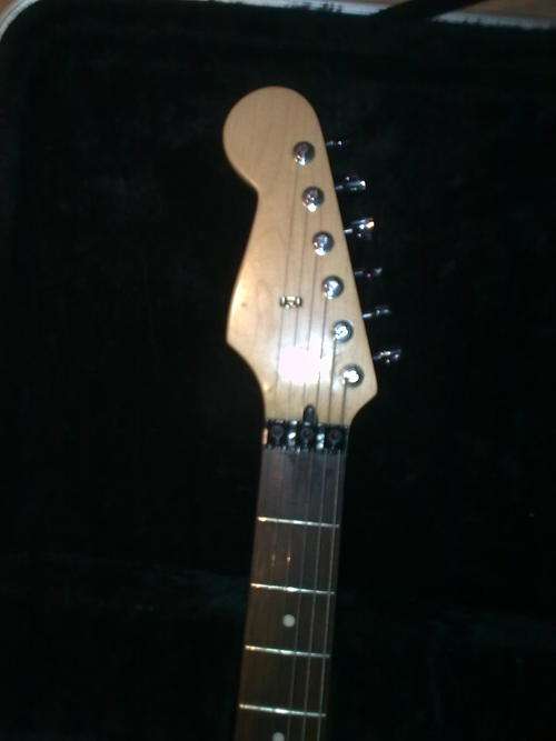 Fender Stat