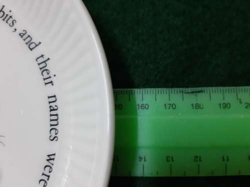 Wedgwood and Barlaston Peter Rabit of Etruria