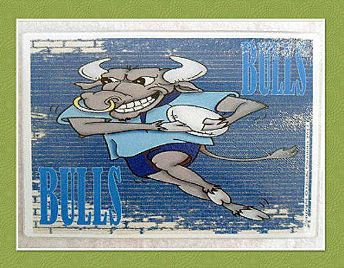 BULLS A4 UNIQUE GLASS CUTTING BOARD