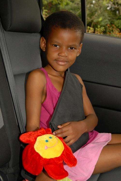 Secure-a-Kid Comfort and Safety Harness for use with Car Seatbelts