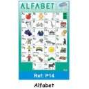 Suczezz - Quality Educational Posters - Afrikaans Alfabet