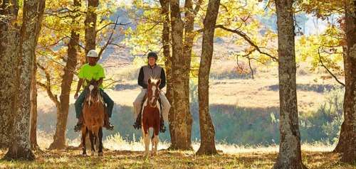 MIDWEEK AT BUSHMAN'S NEK (UNDERBERG)