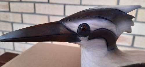 Collectable PIED KINGFISHER BIRD (Hand Carved and Hand Painted)