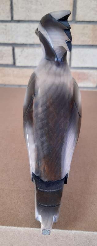 Collectable PIED KINGFISHER BIRD (Hand Carved and Hand Painted)