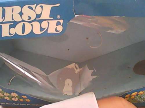 First Love Doll bought in America (In original box and has original dress and diaper)