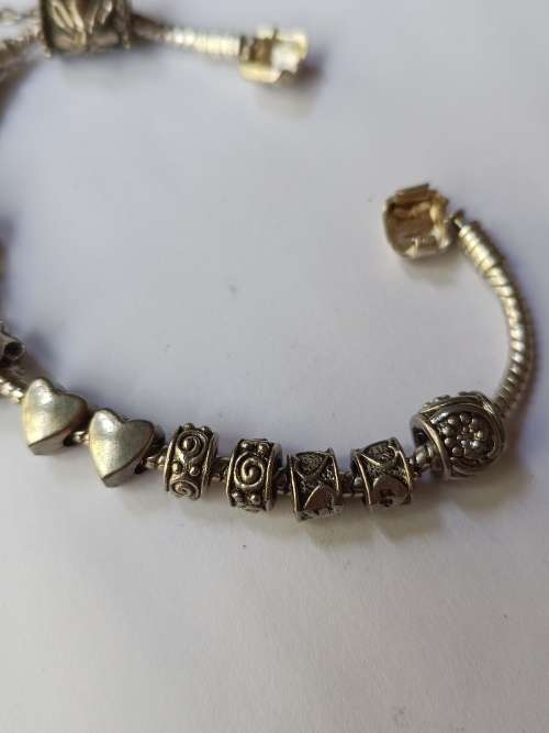 Stunning Collectors Pandora charm bracelet