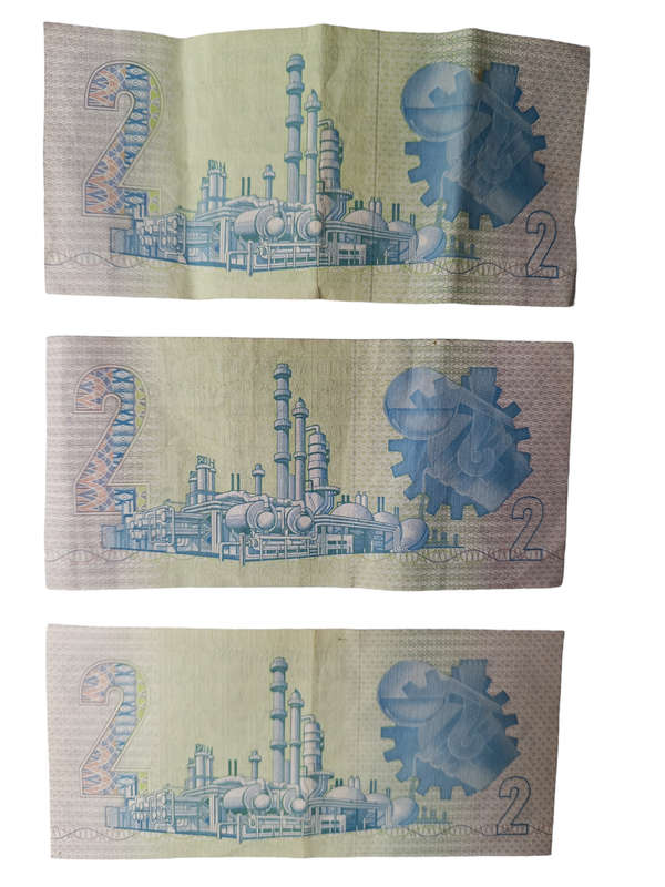 Collectors selection of South African bank notes