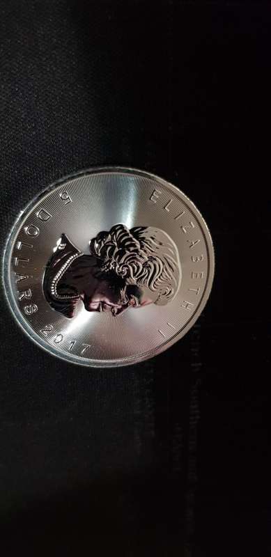 Canadian Silver Maple