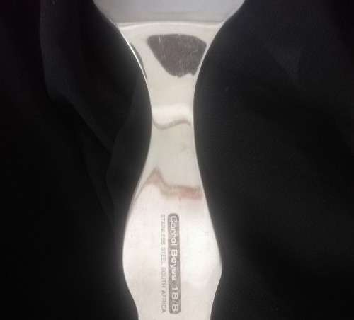 Carrol Boyes Large Server Spoon