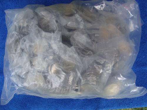 SEALED BAG OF 400 2011 SARB 90TH ANNIVERSARY UNC R5 COINS