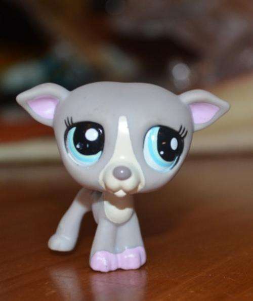 Littlest Pet Shop  Dog, Greyhound 1584