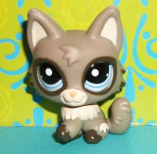 Littlest pet shop, Husky / Fox / Wolf #1953