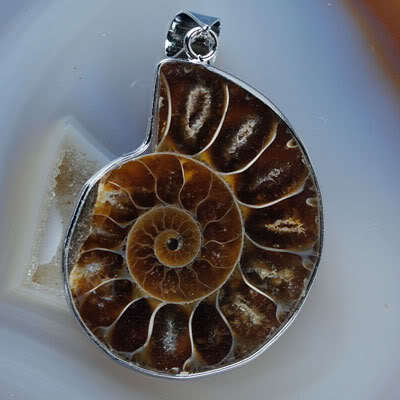 Ammonite Pendant