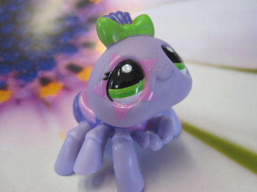 Last One - Littlest pet shop,  Spider Pink and Purple #2243