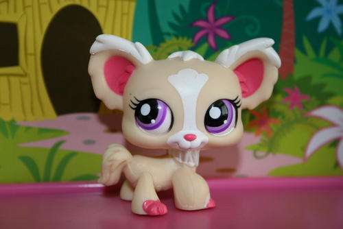Littlest pet shop, VANILLA CHIHUAHUA #1892