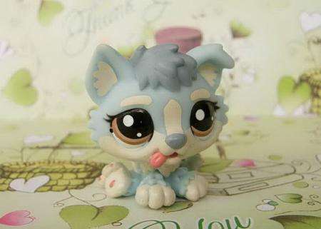 only One - Littlest pet shop, Dog, Husky in Baby Blue # 1683