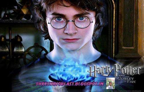 Harry Potter and The Goblet of Fire, Game for PC