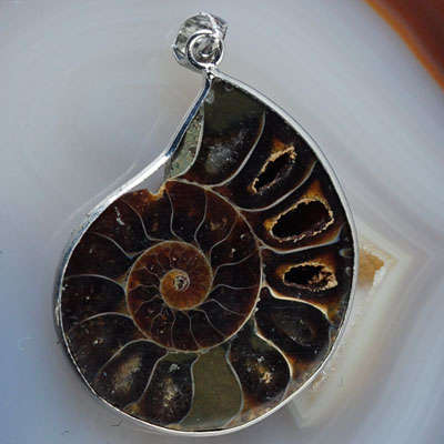 Ammonite Pendant