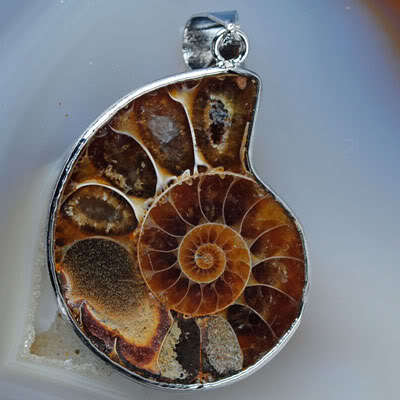 Ammonite Pendant