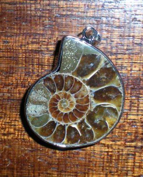 Ammonite Pendant