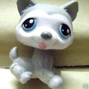 Last One!! Littlest Pet Shop, Husky