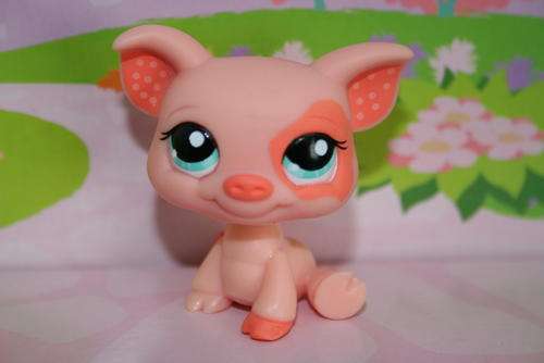 Last One!! Littlest Pet Shop, Pink Pig