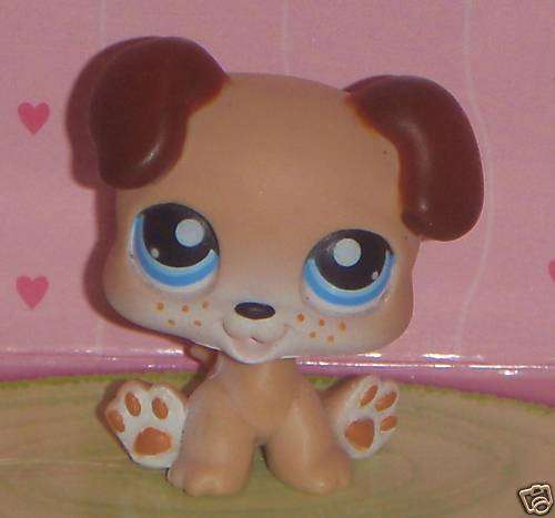 Littlest Pet Shop, Boxer Puppy#143 Retired