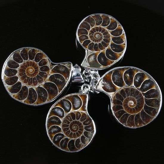Ammonite Pendant